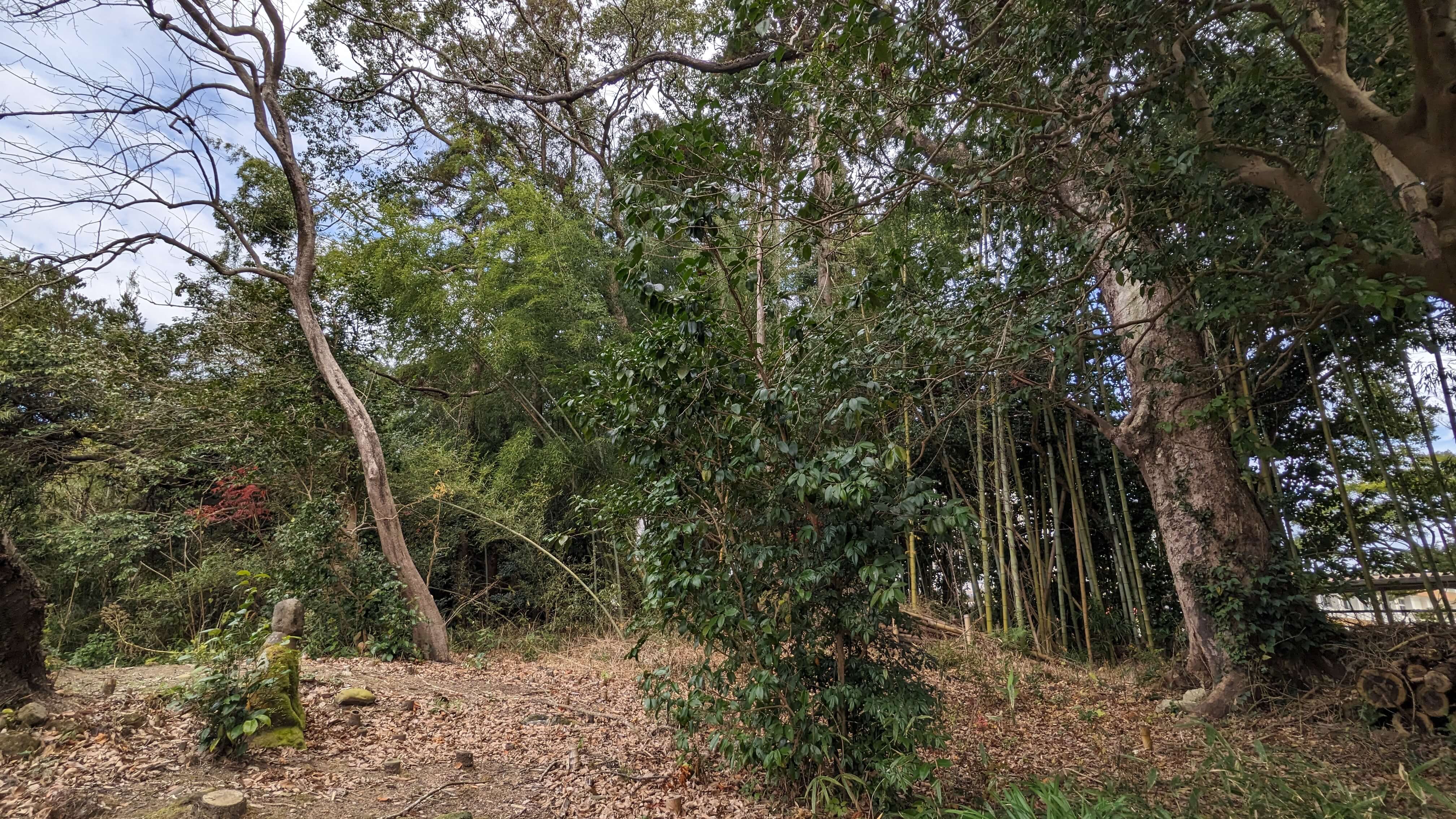 平山氏庭園 サムネイル 10