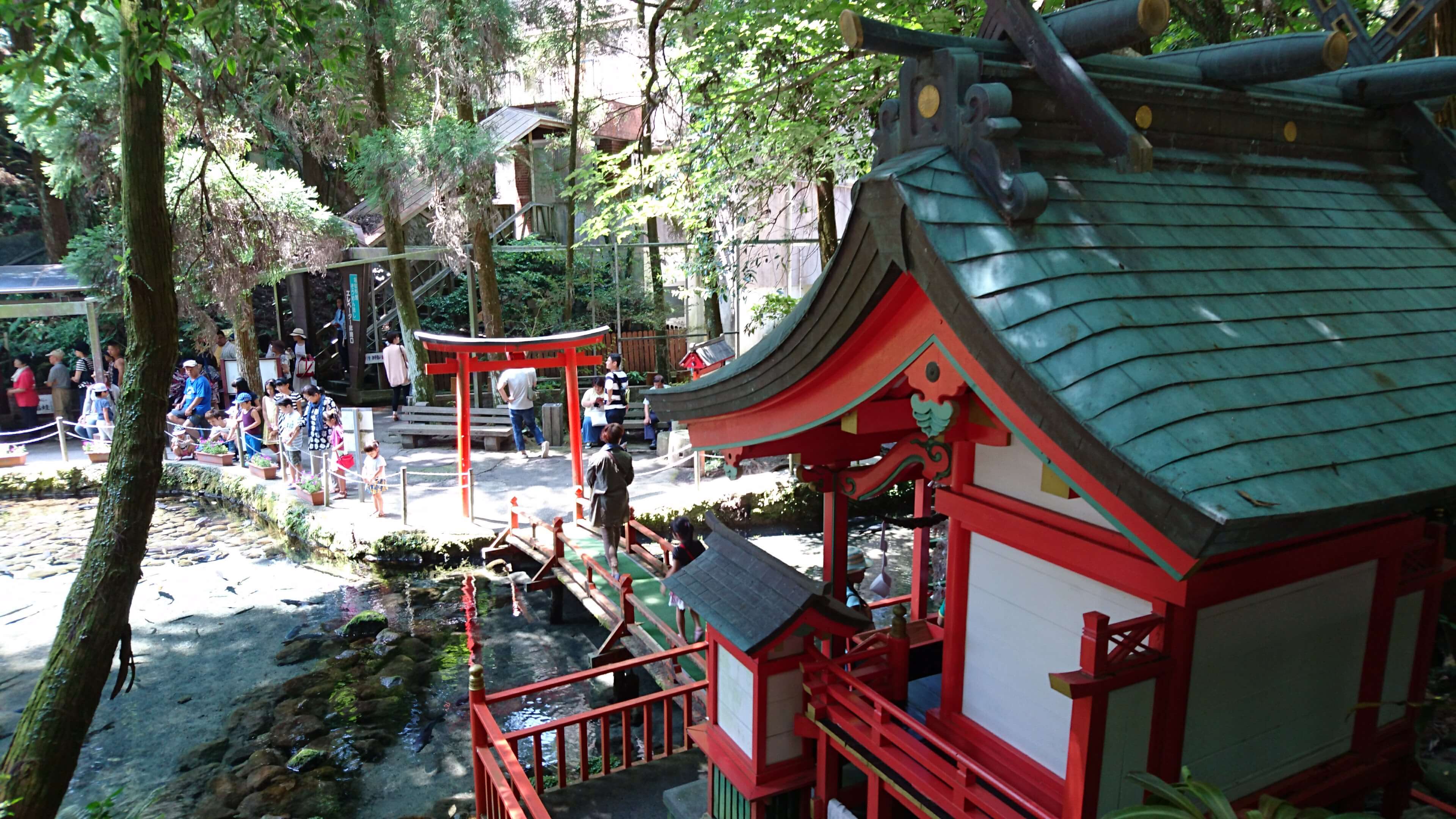 唐船峡 川上神社(京田湧水) サムネイル 4