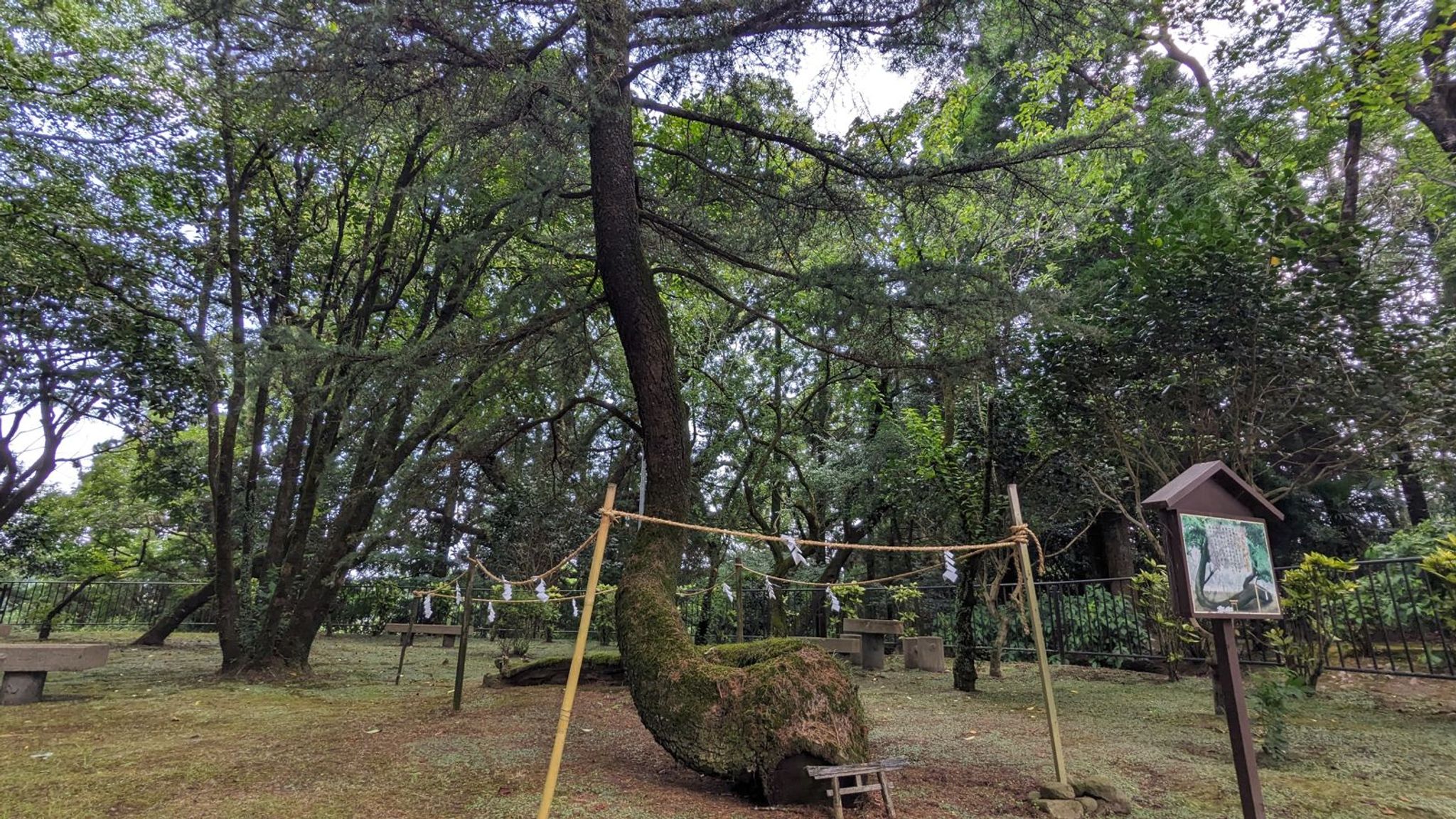 狭野神社 サムネイル 27