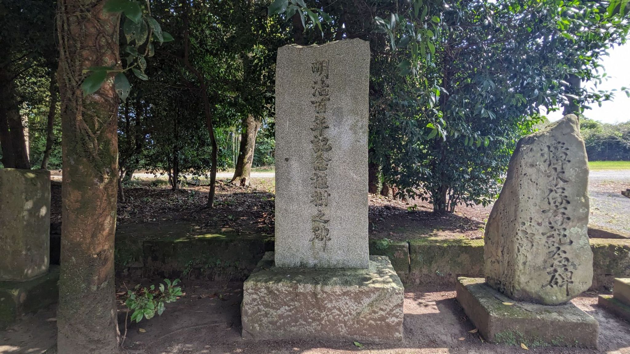 山宮神社 サムネイル 10