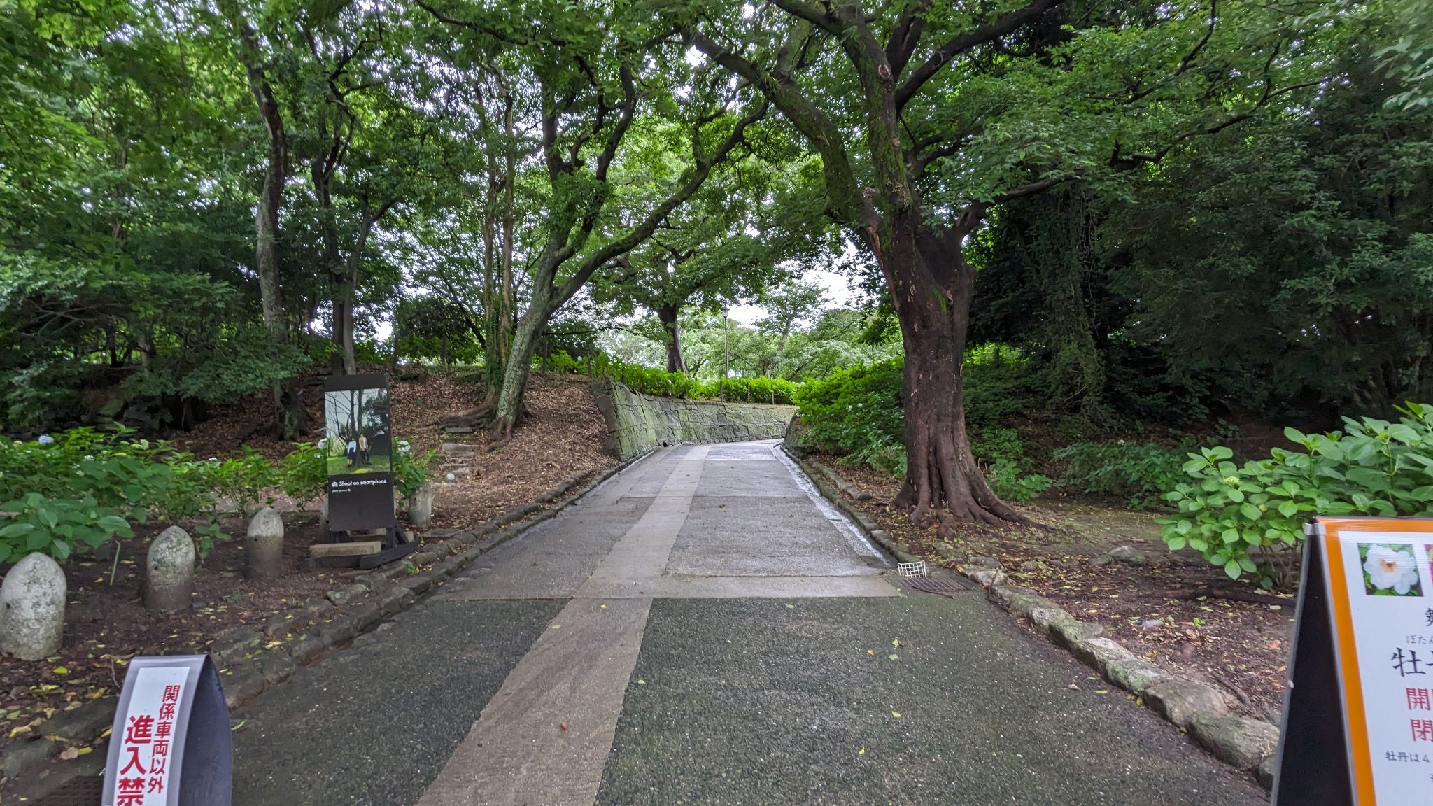 牡丹芍薬園