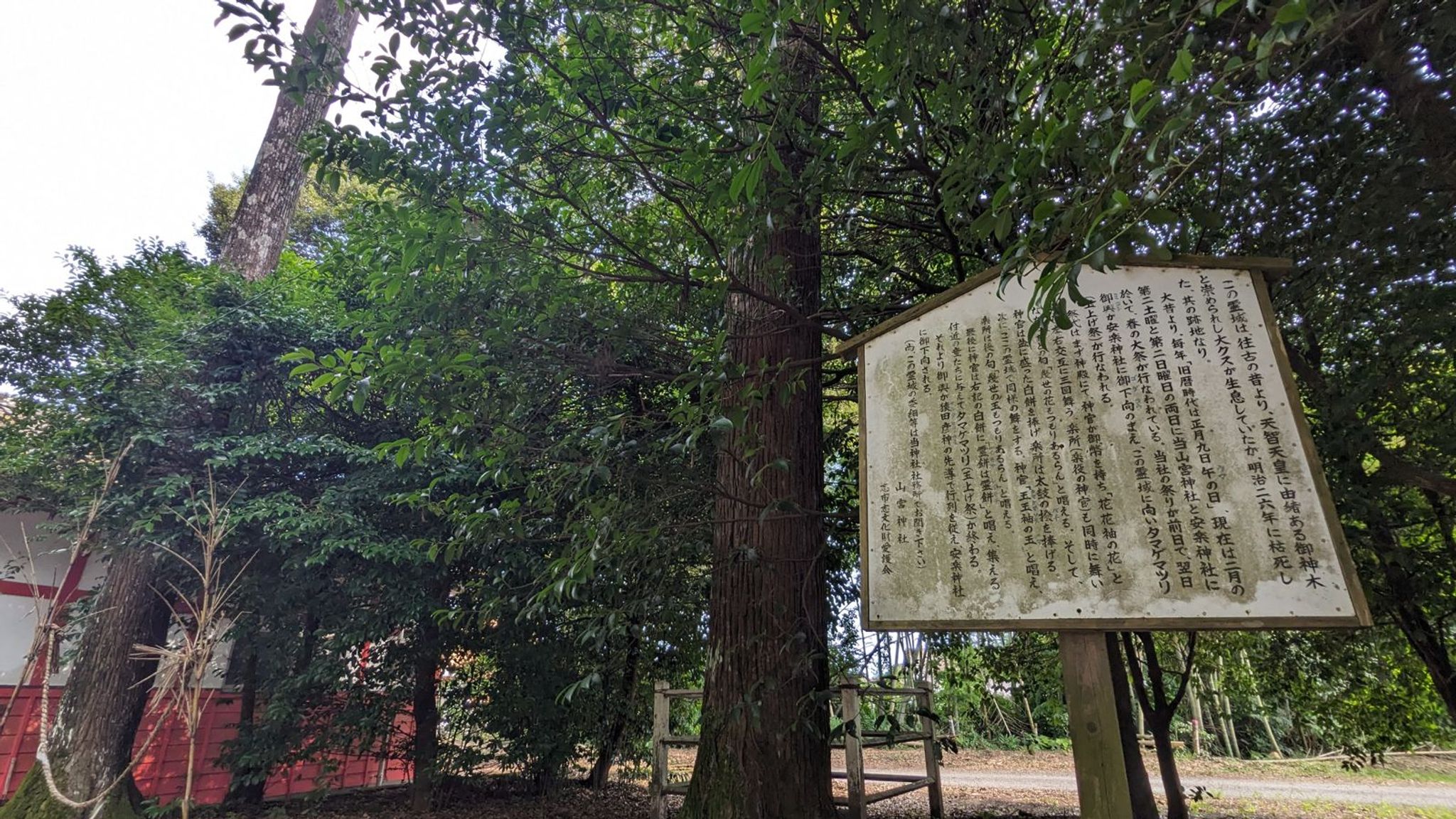 山宮神社 サムネイル 7