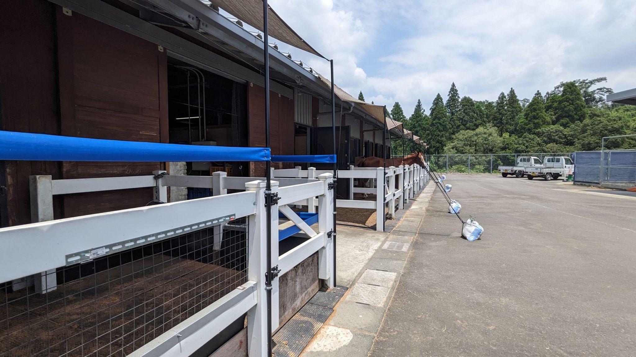 カナディアンキャンプ乗馬クラブ SOO サムネイル 11