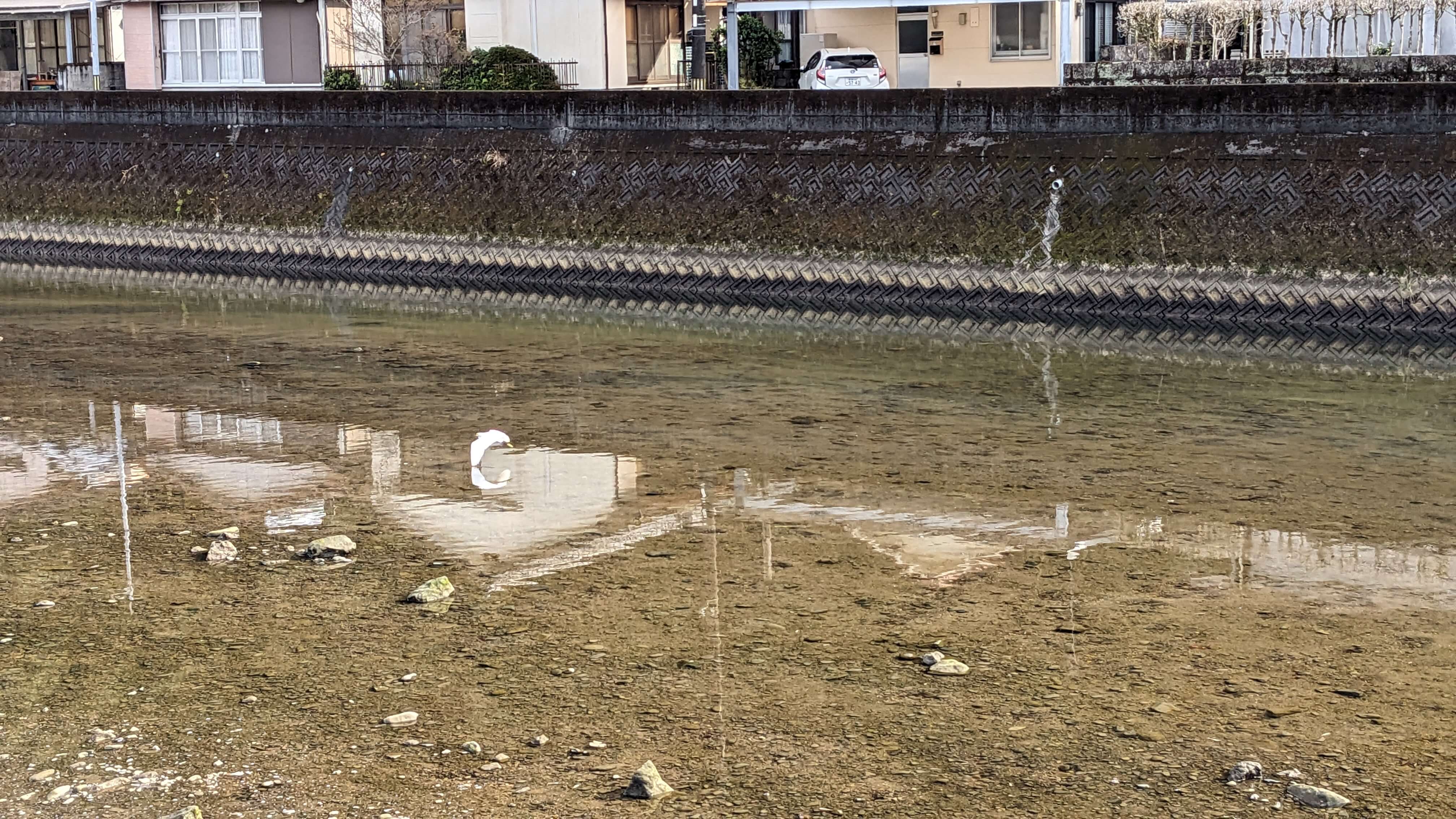 前川 サムネイル 6