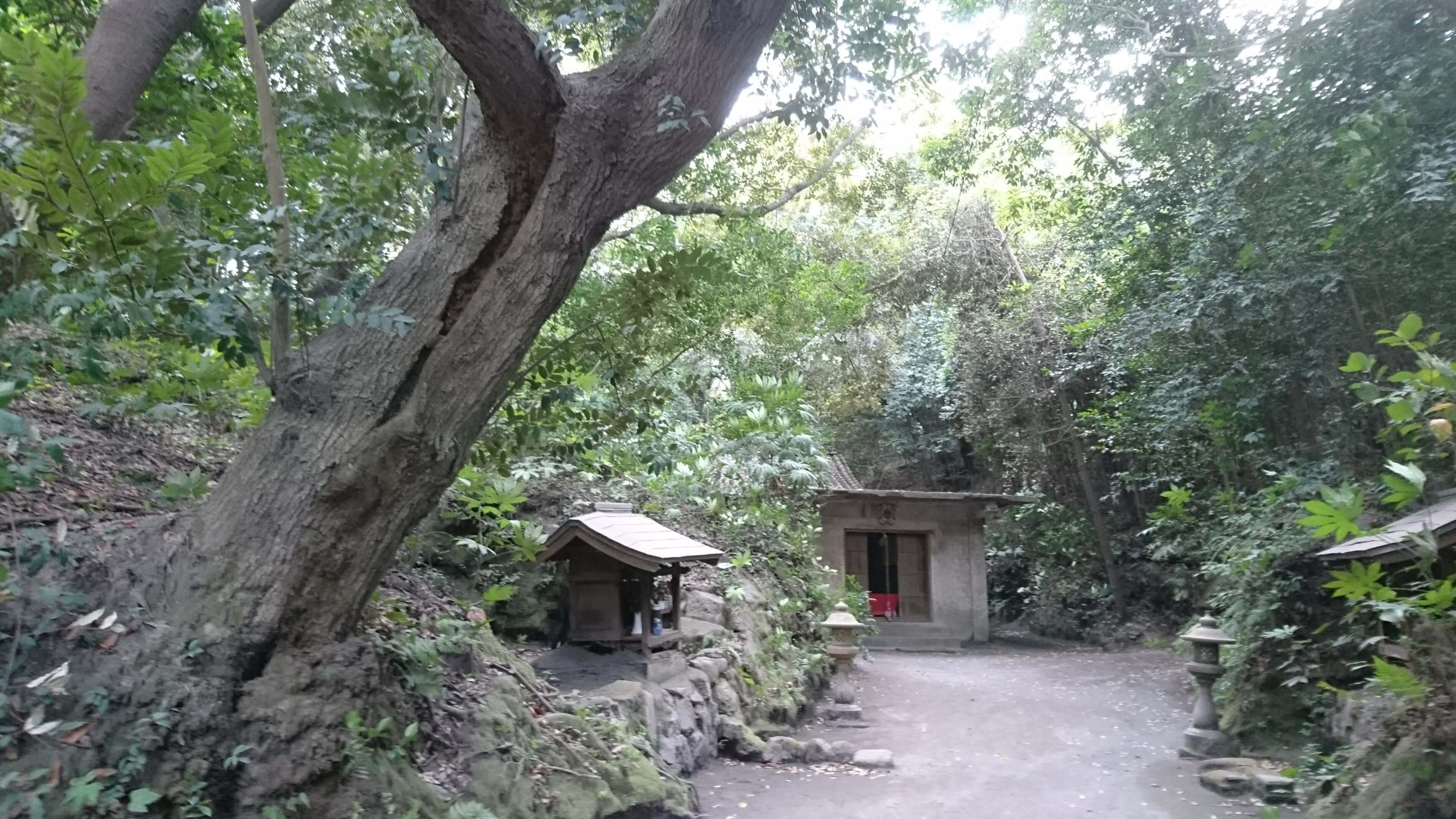 黒神埋没鳥居 サムネイル 3