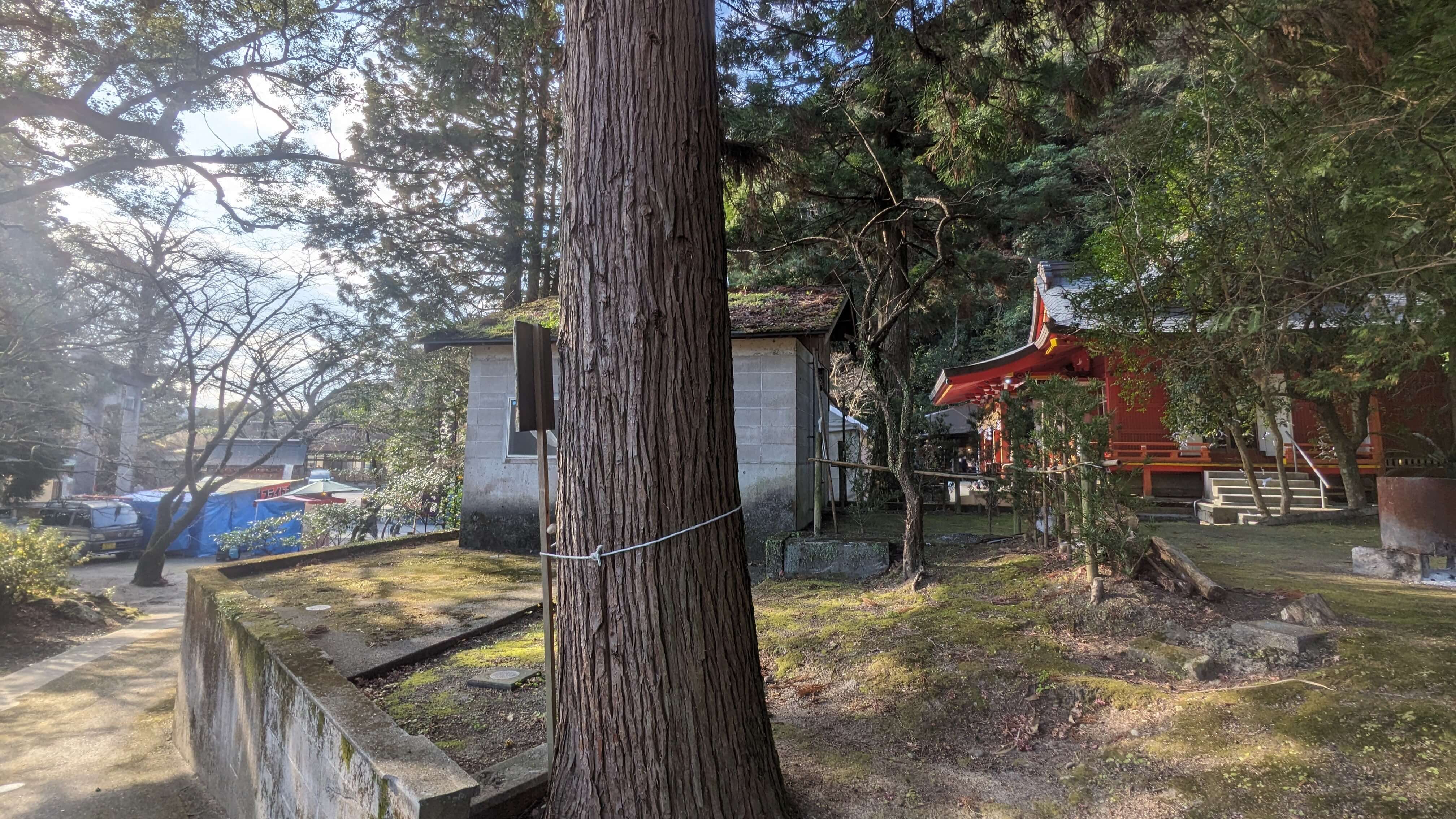 豊玉姫神社 サムネイル 5