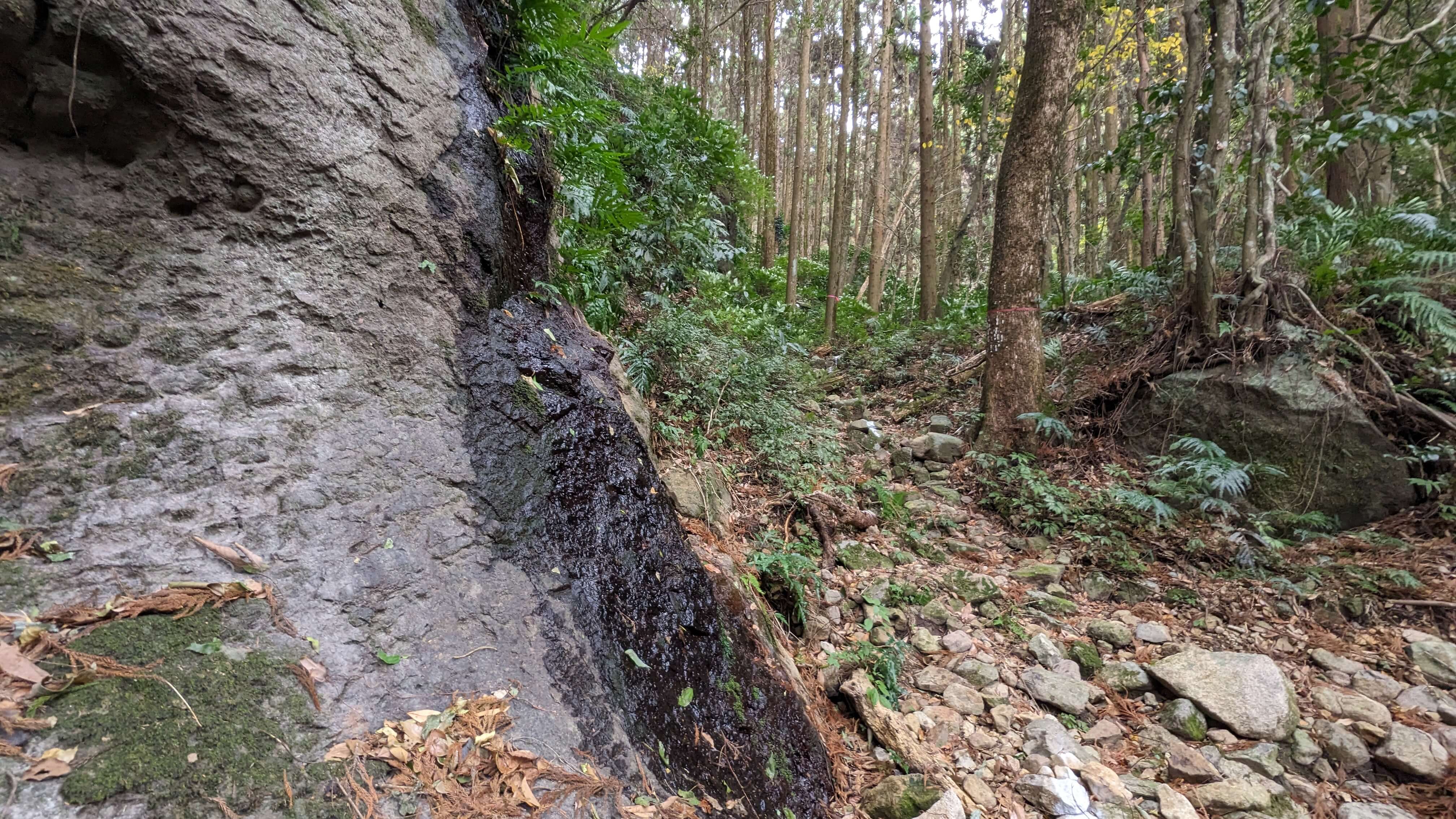 岩剣城跡 サムネイル 7