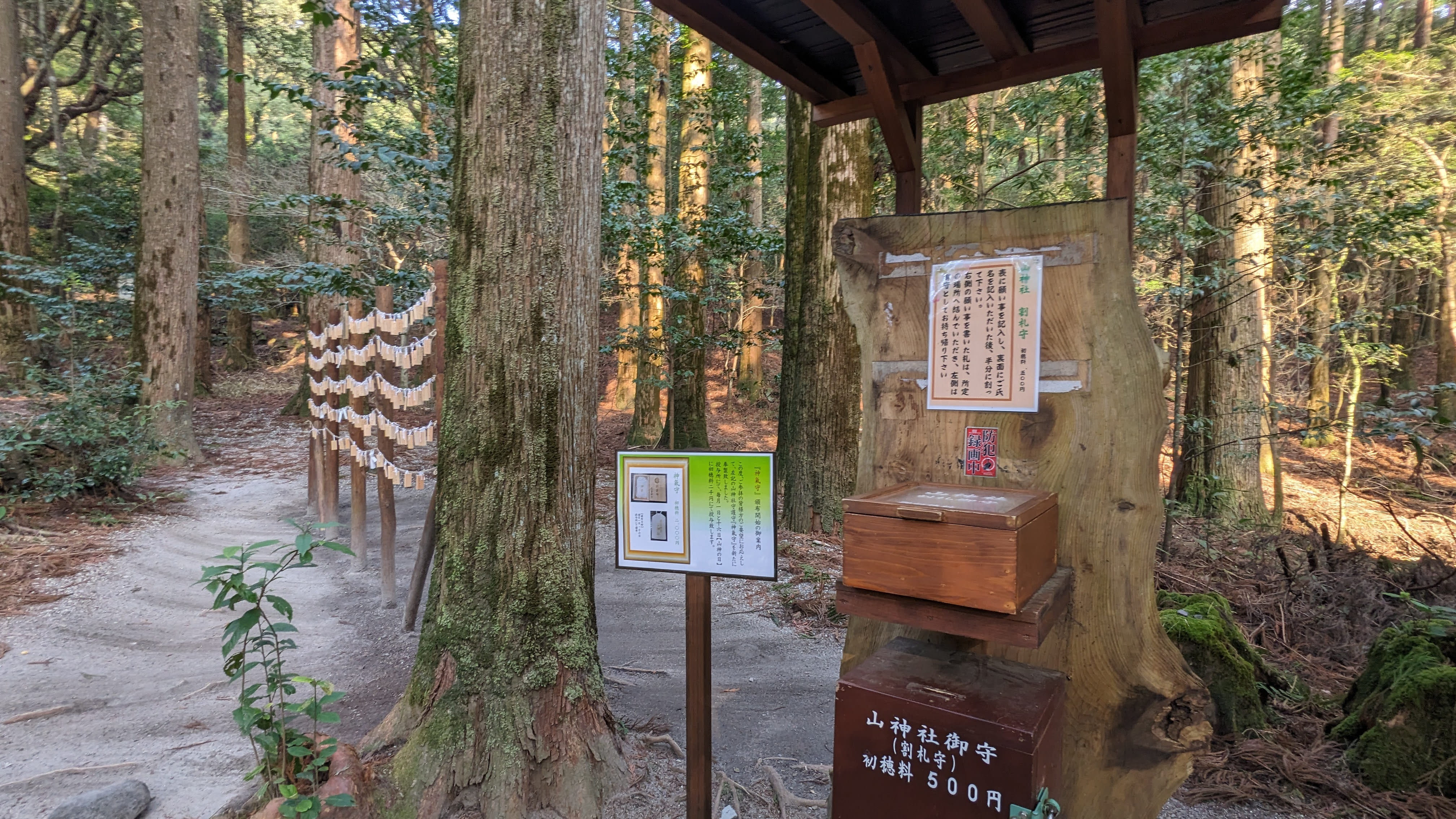 山神社 サムネイル 6