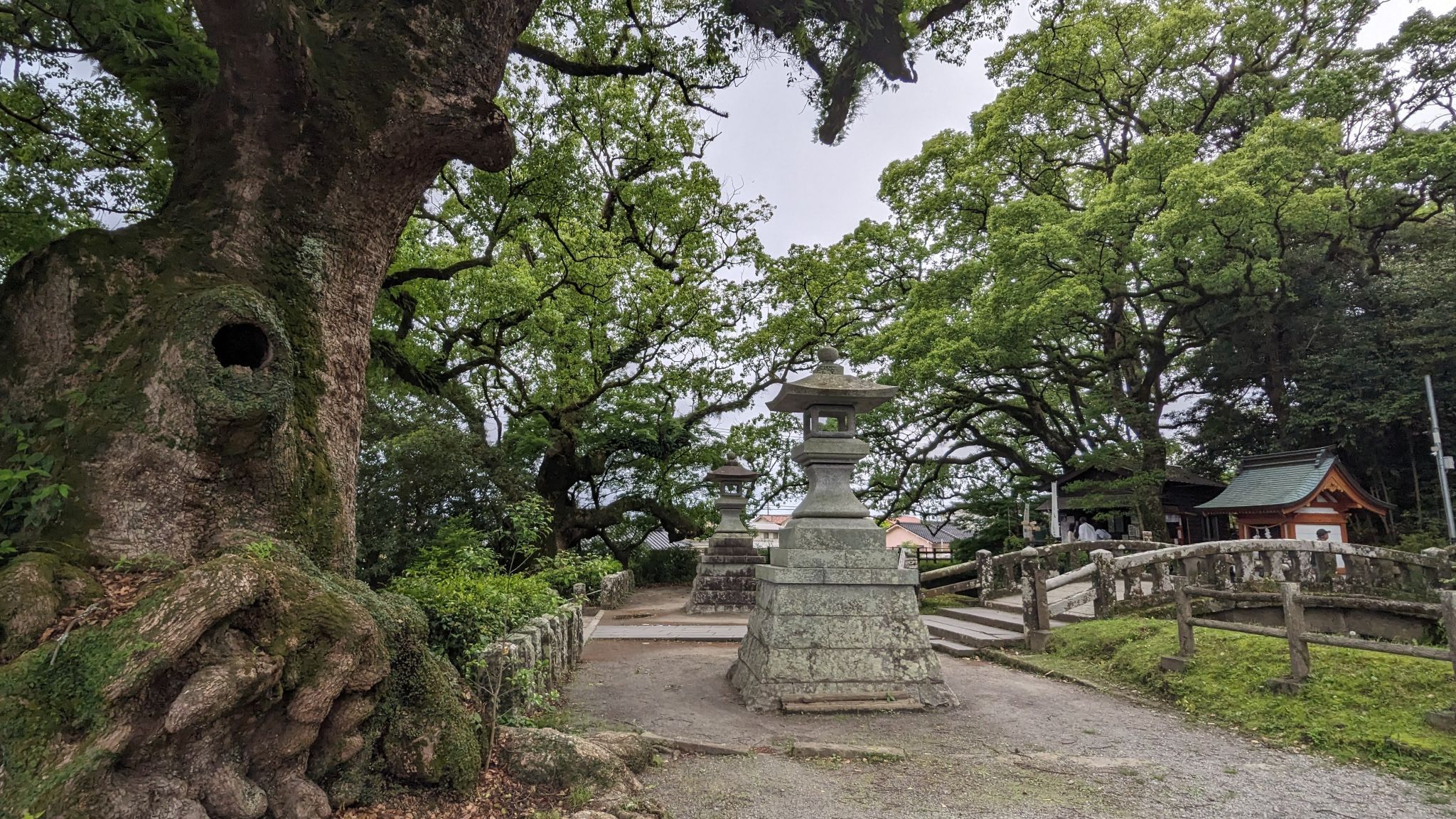 【霧島ぶらり旅】神話の地・鹿児島神宮と1万年前の上野原縄文の森を訪ねる歴史散策の一日