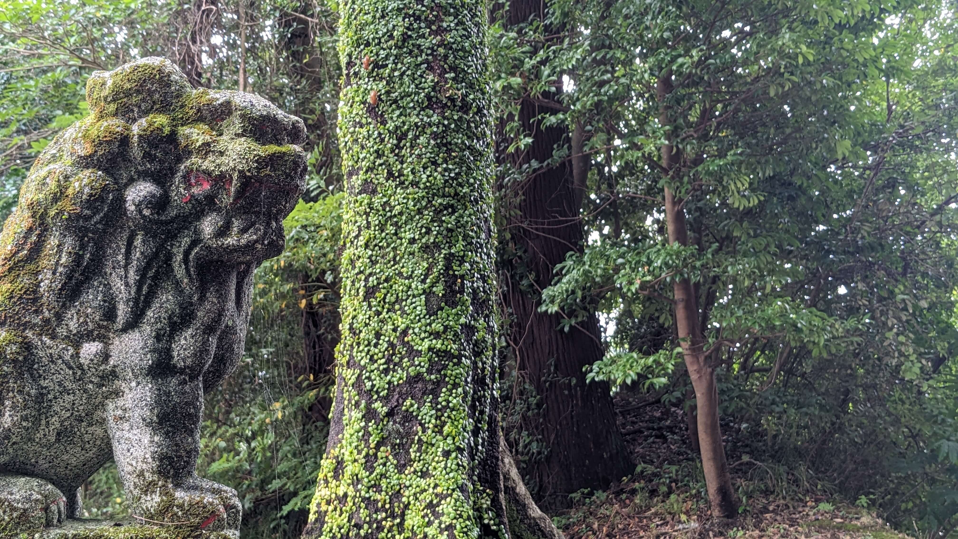 徳重神社 サムネイル 13