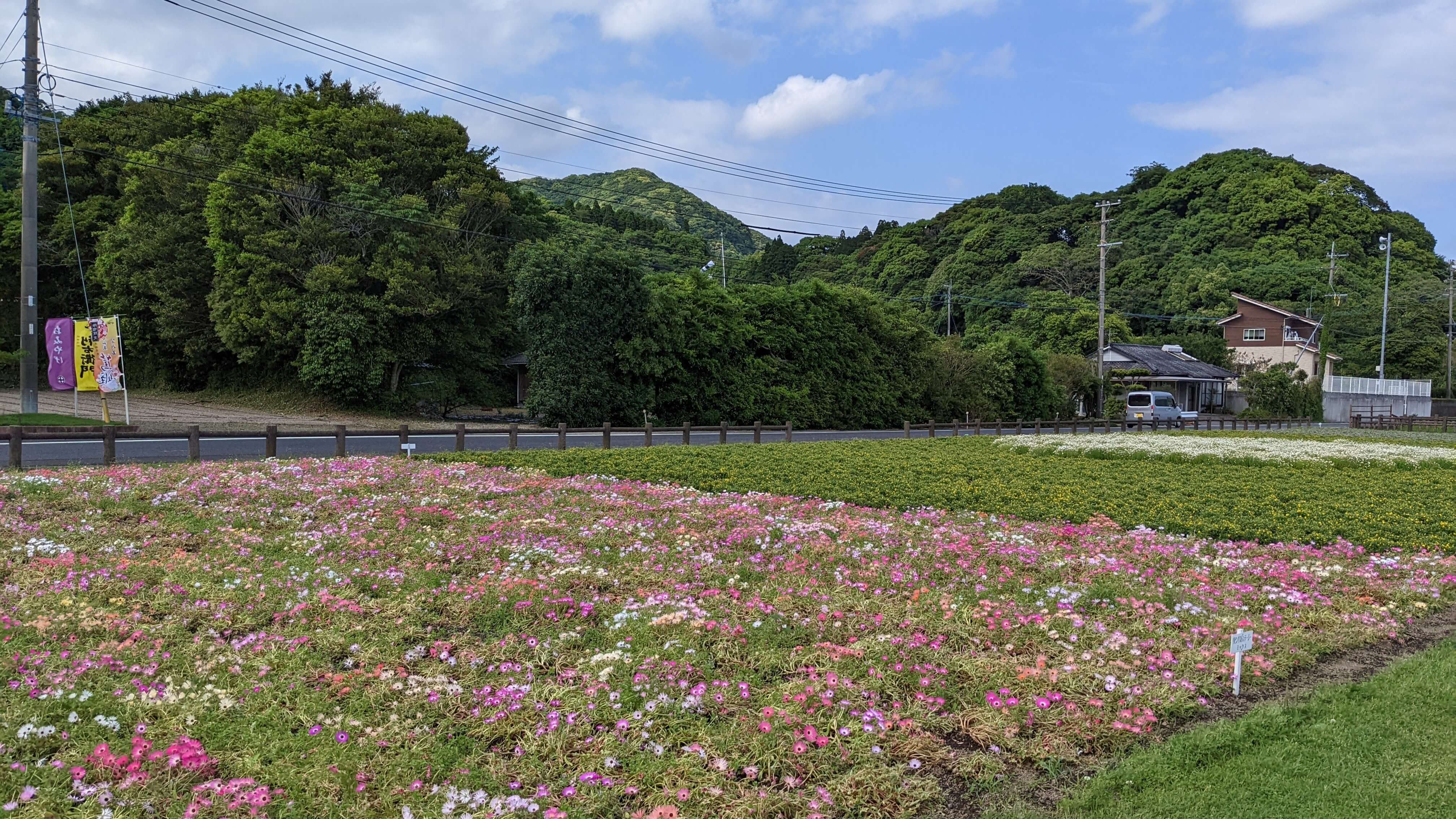 池田湖 遊園地 花壇