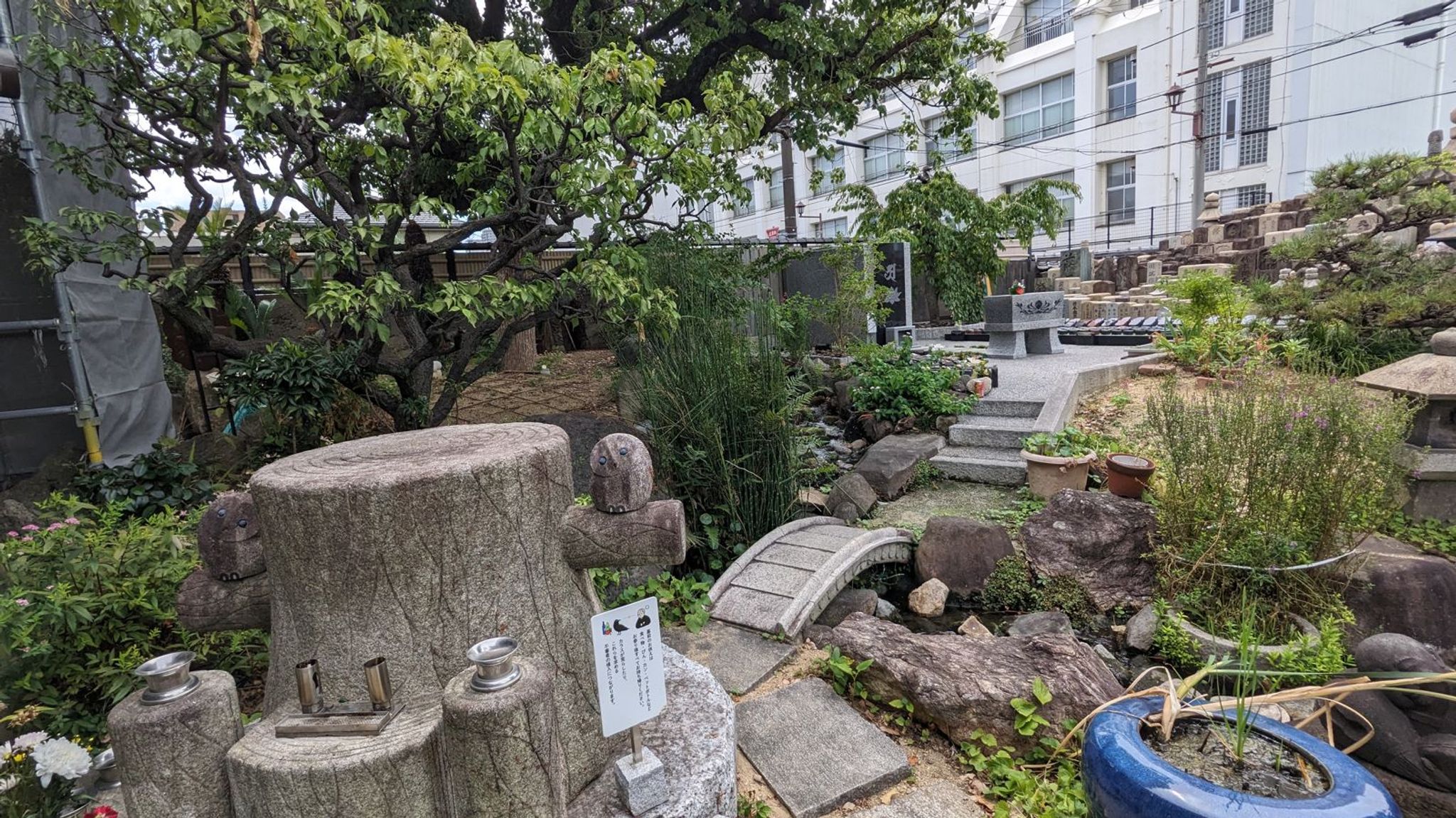 興徳寺 サムネイル 14
