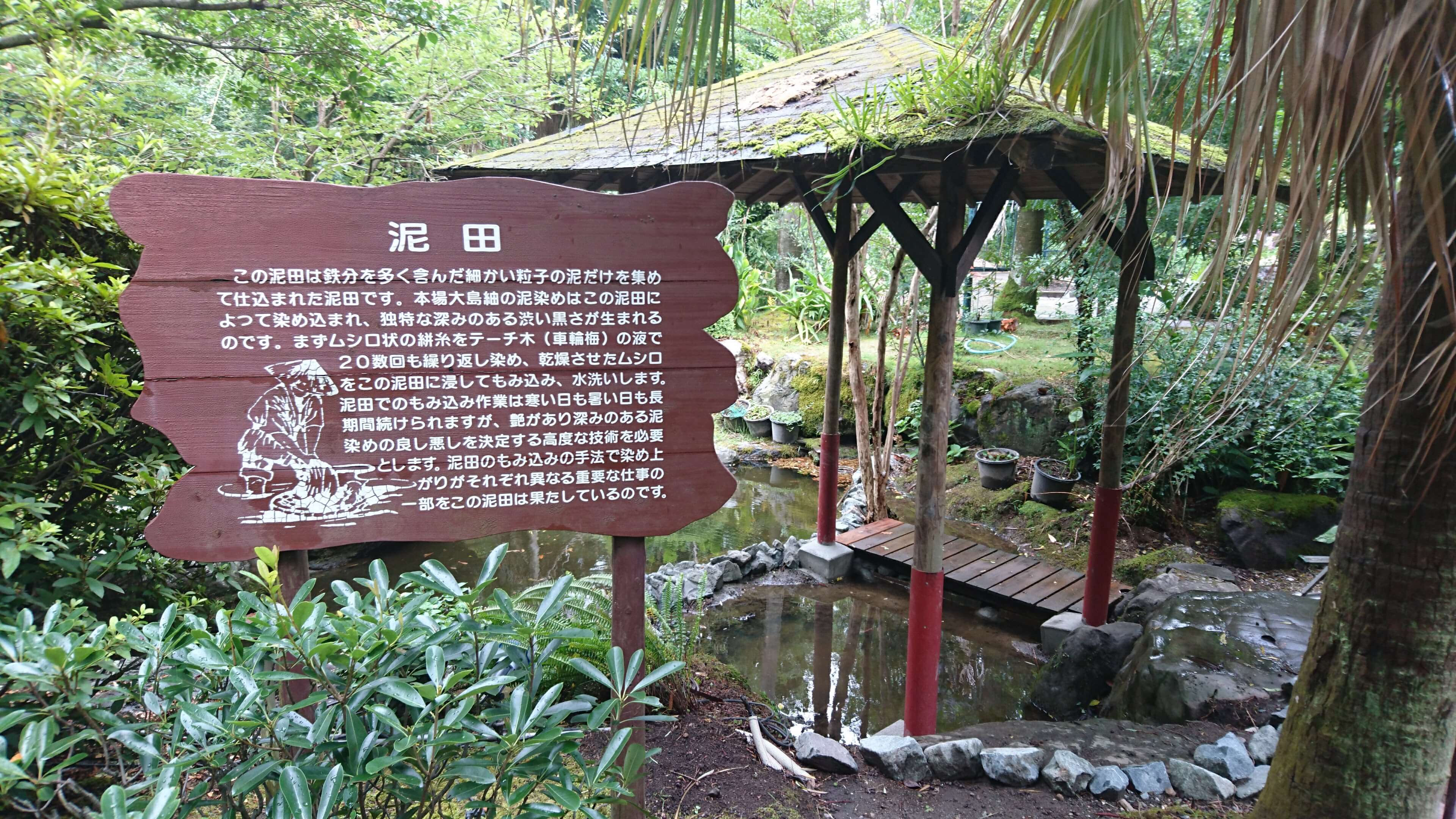 泥田 1