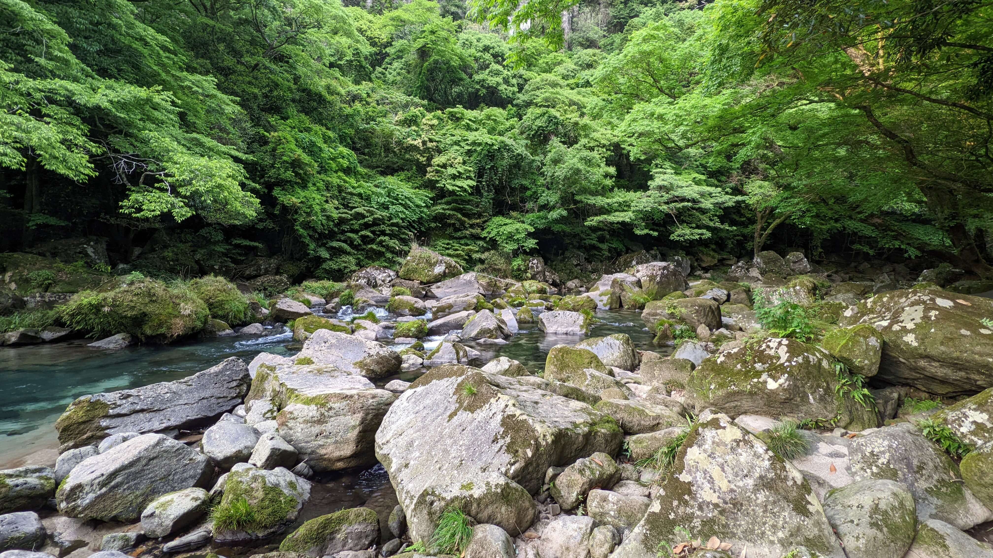 清流のほとり サムネイル 2