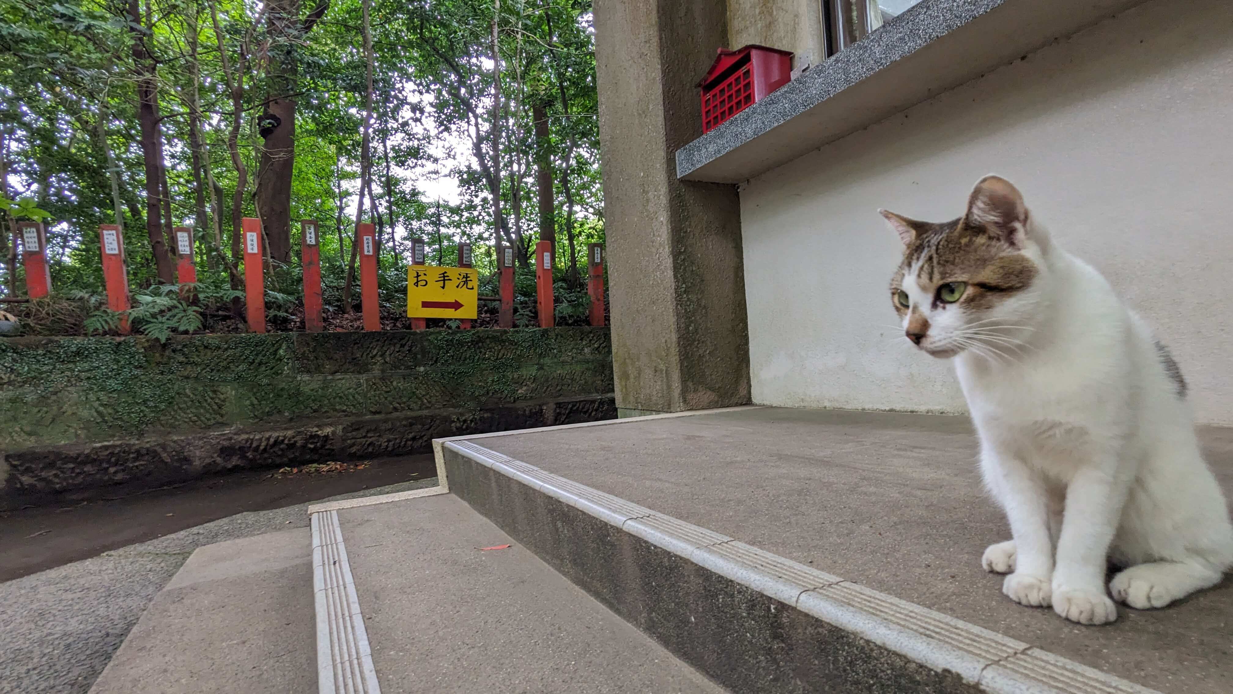 枚聞神社 サムネイル 2