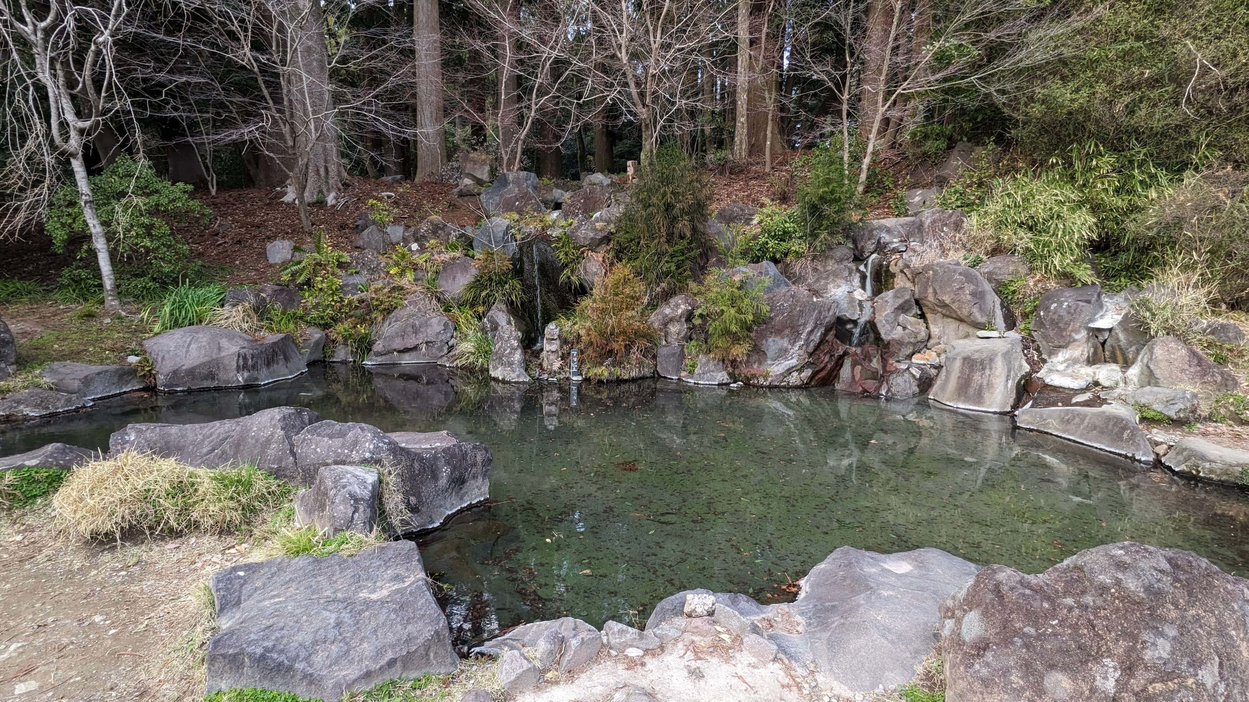 霧島神宮 温泉池 1