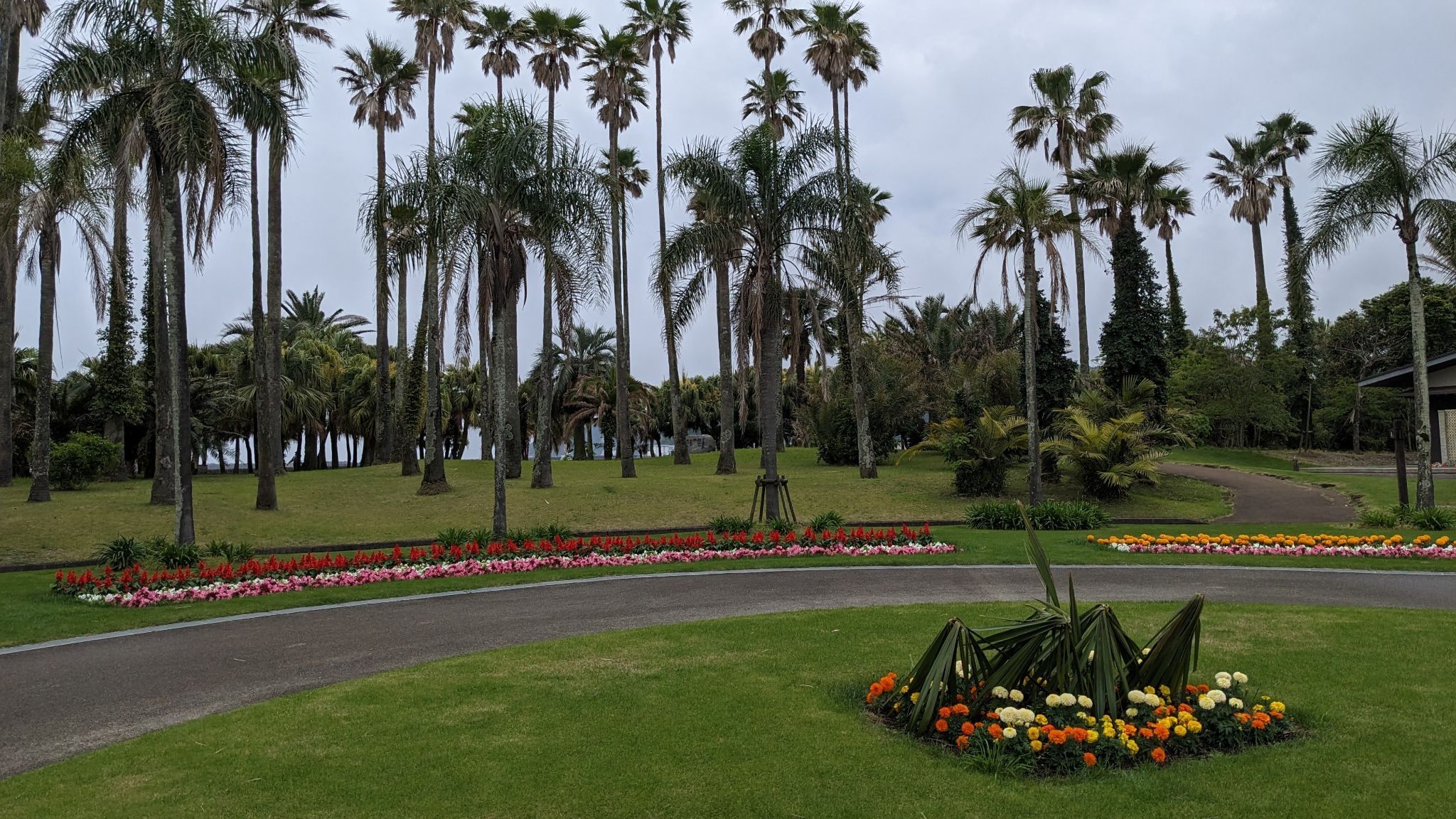 宮交ボタニックガーデン青島(県立青島亜熱帯植物園) サムネイル 2