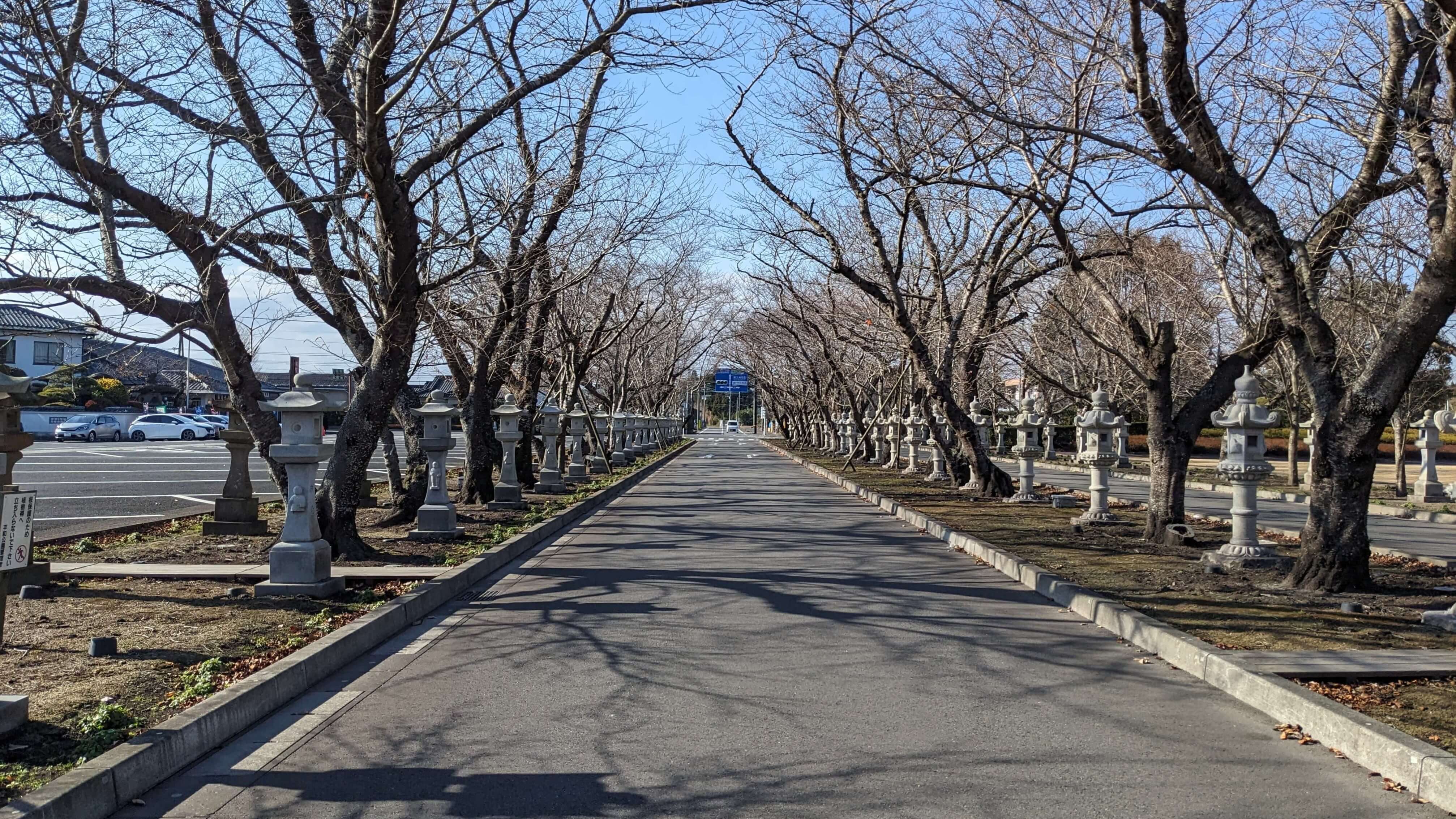道路沿いの灯ろう 1