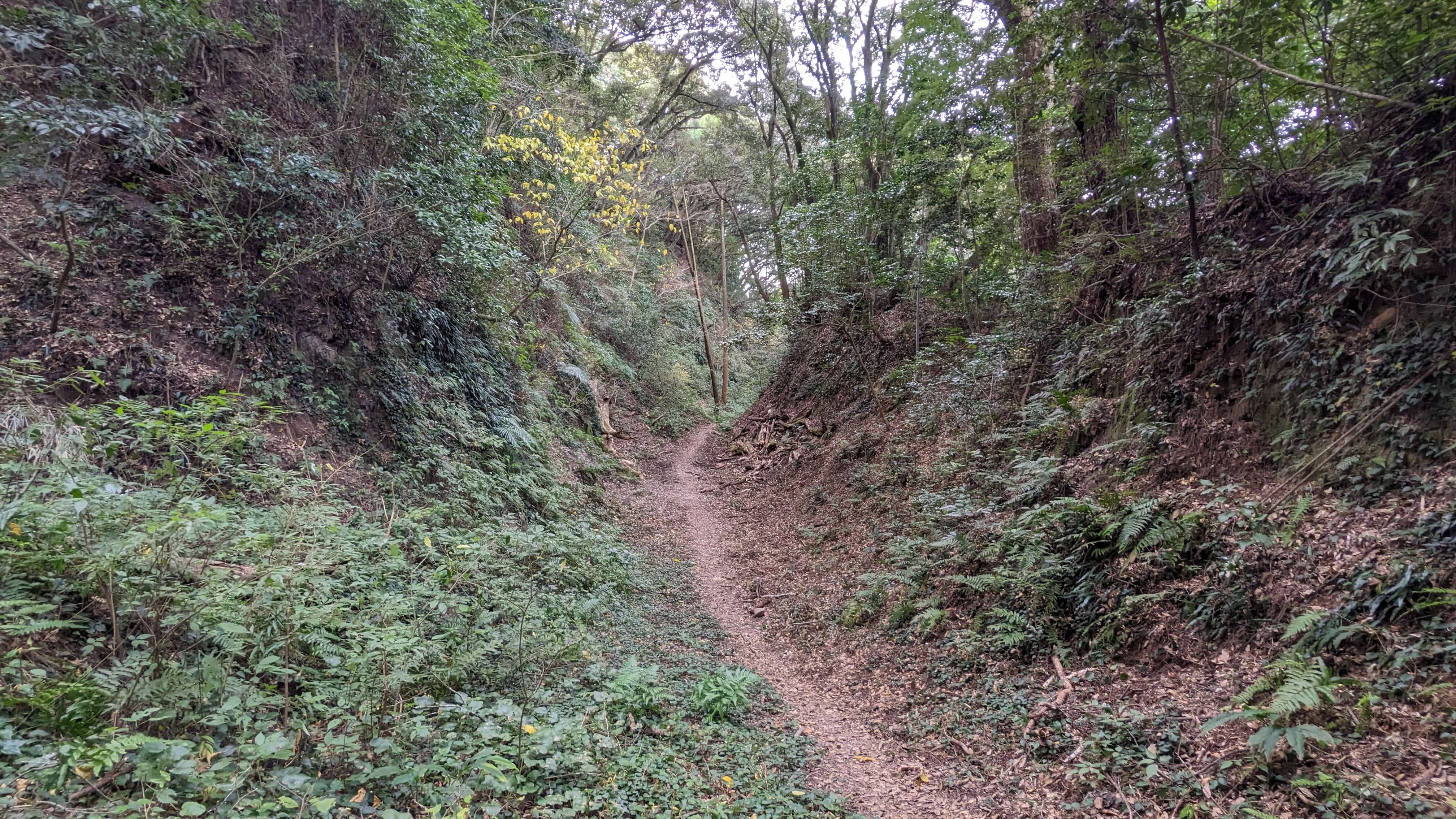 志布志城址（内城）跡 サムネイル 6