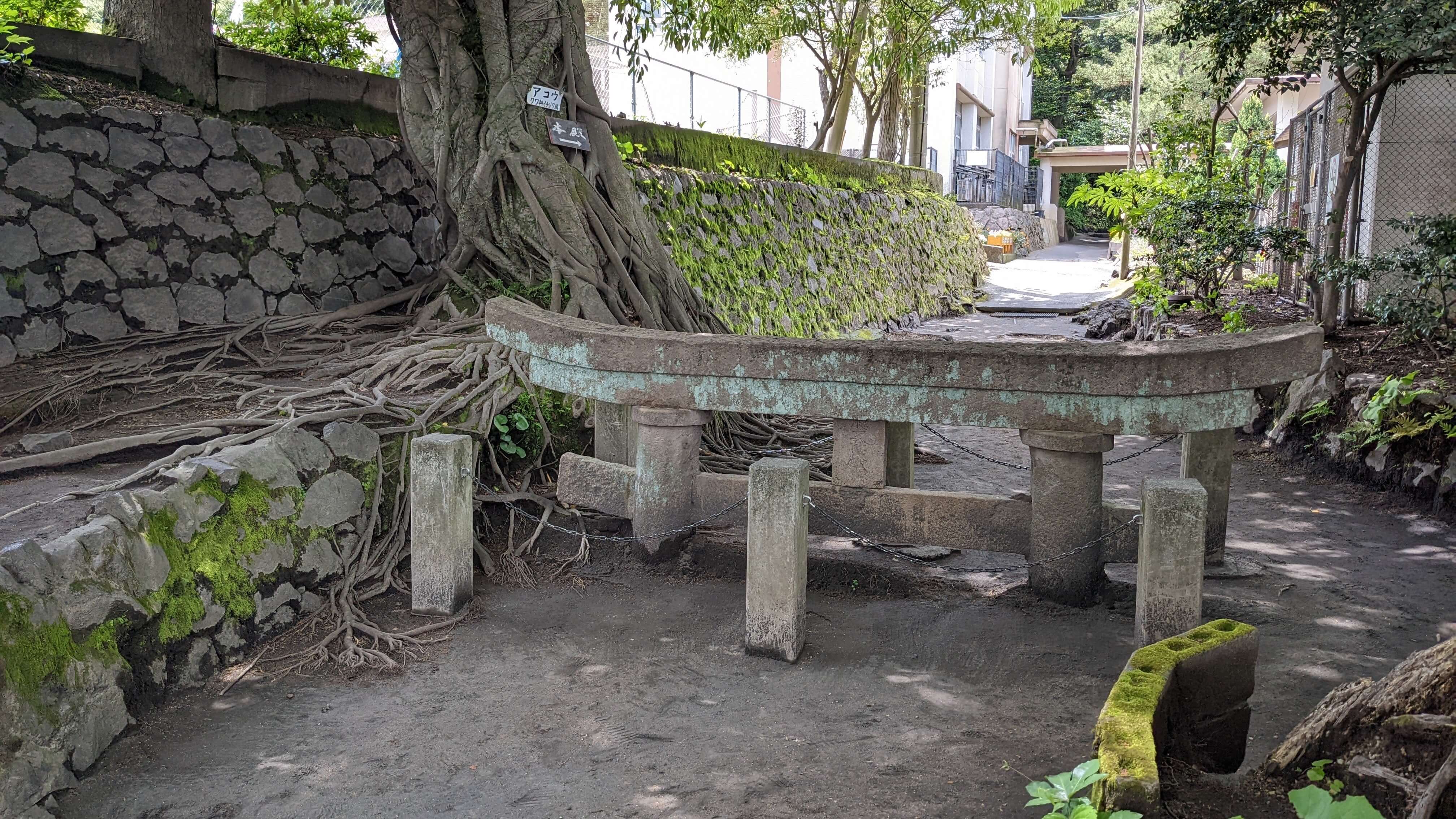 桜島 サムネイル 3