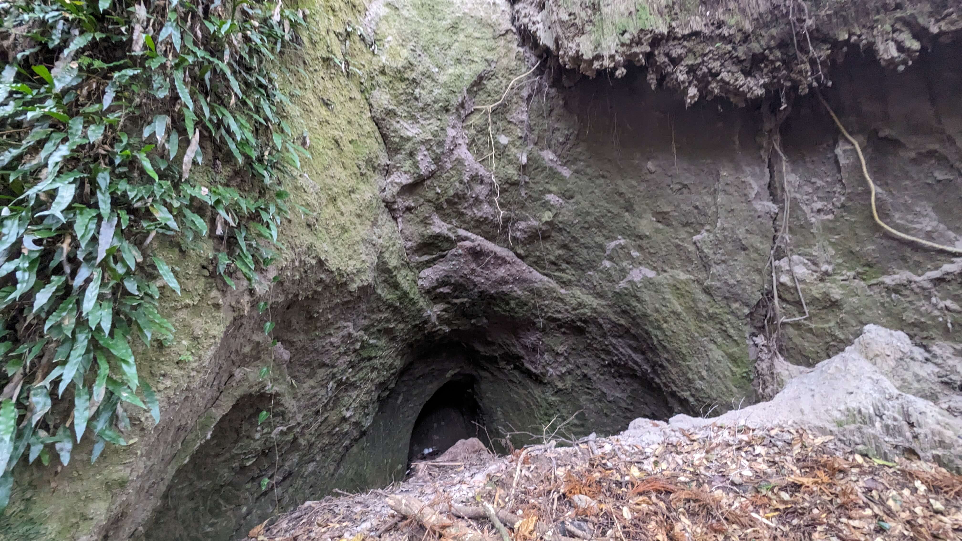 志布志城址（内城）跡 サムネイル 7