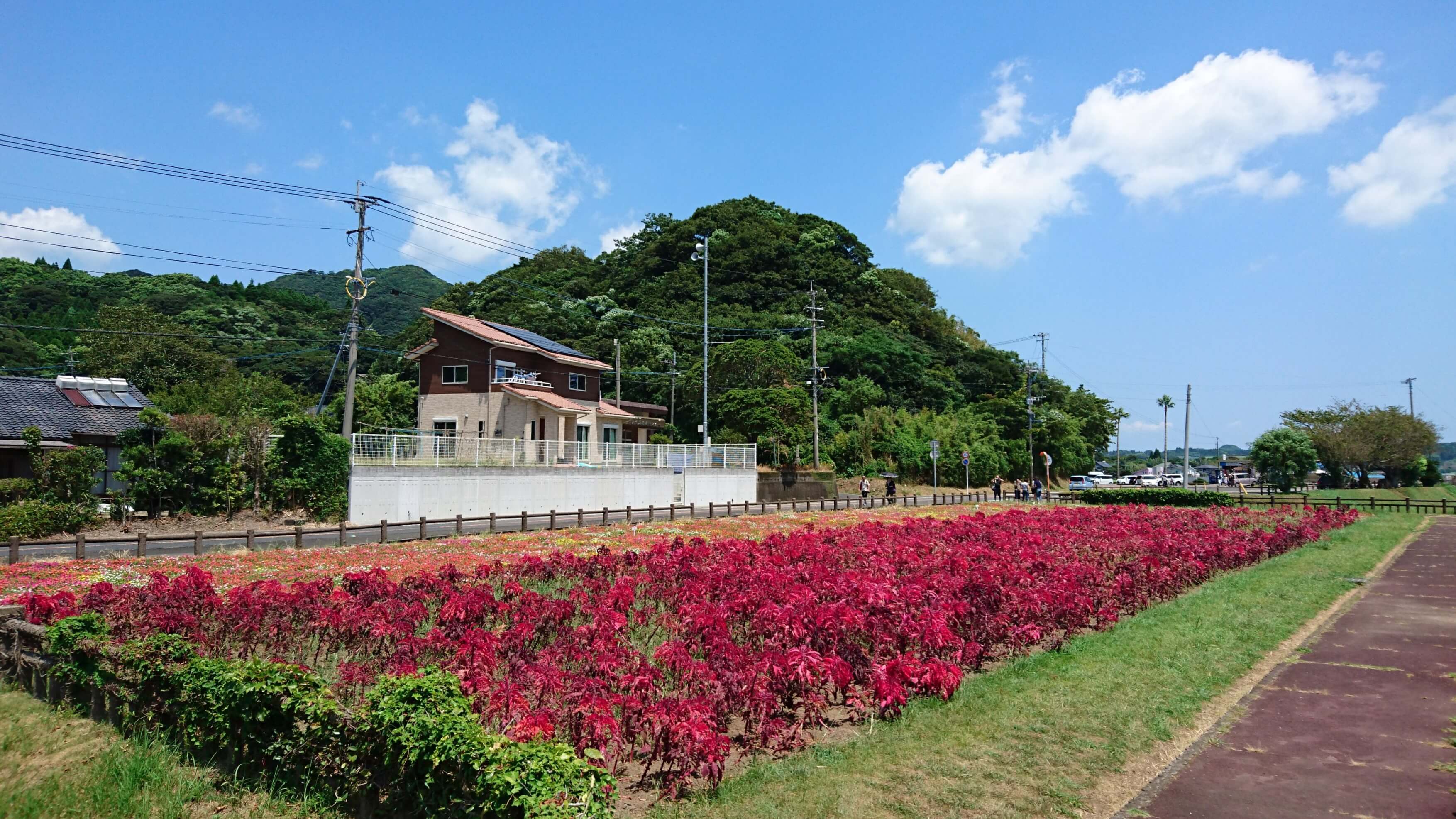 花