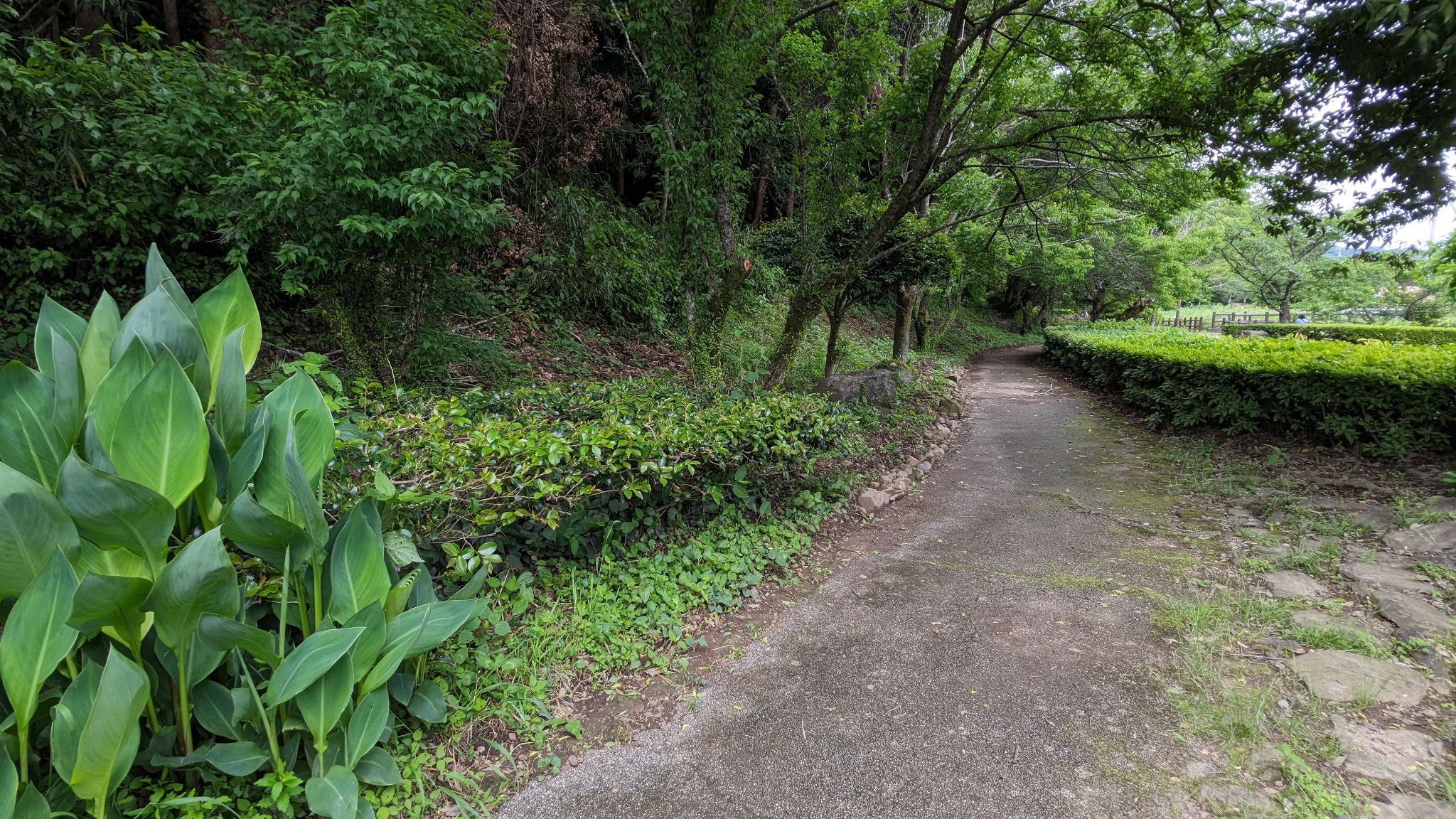 宮の杜ふれあい公園 サムネイル 4