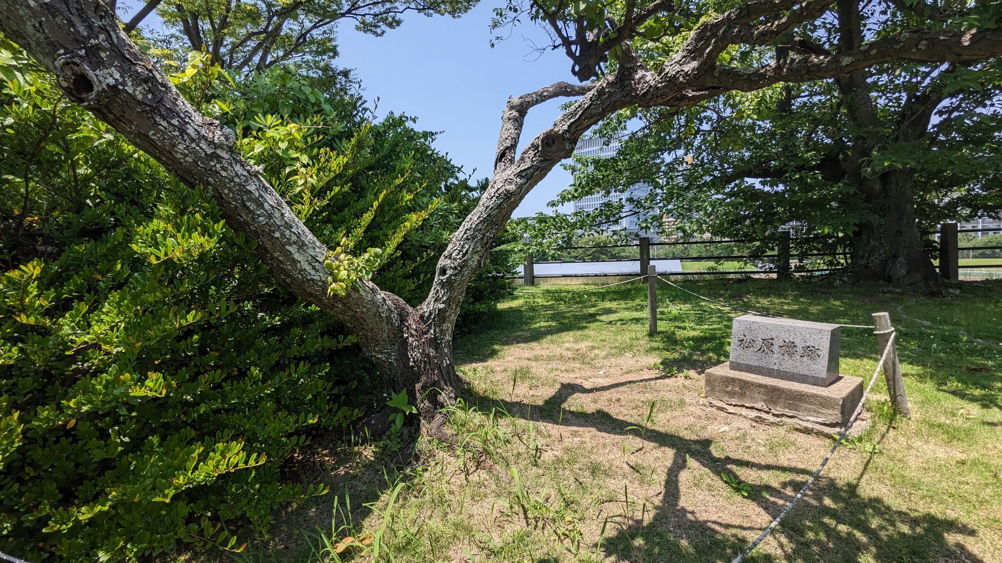 松原櫓跡(向櫓跡)