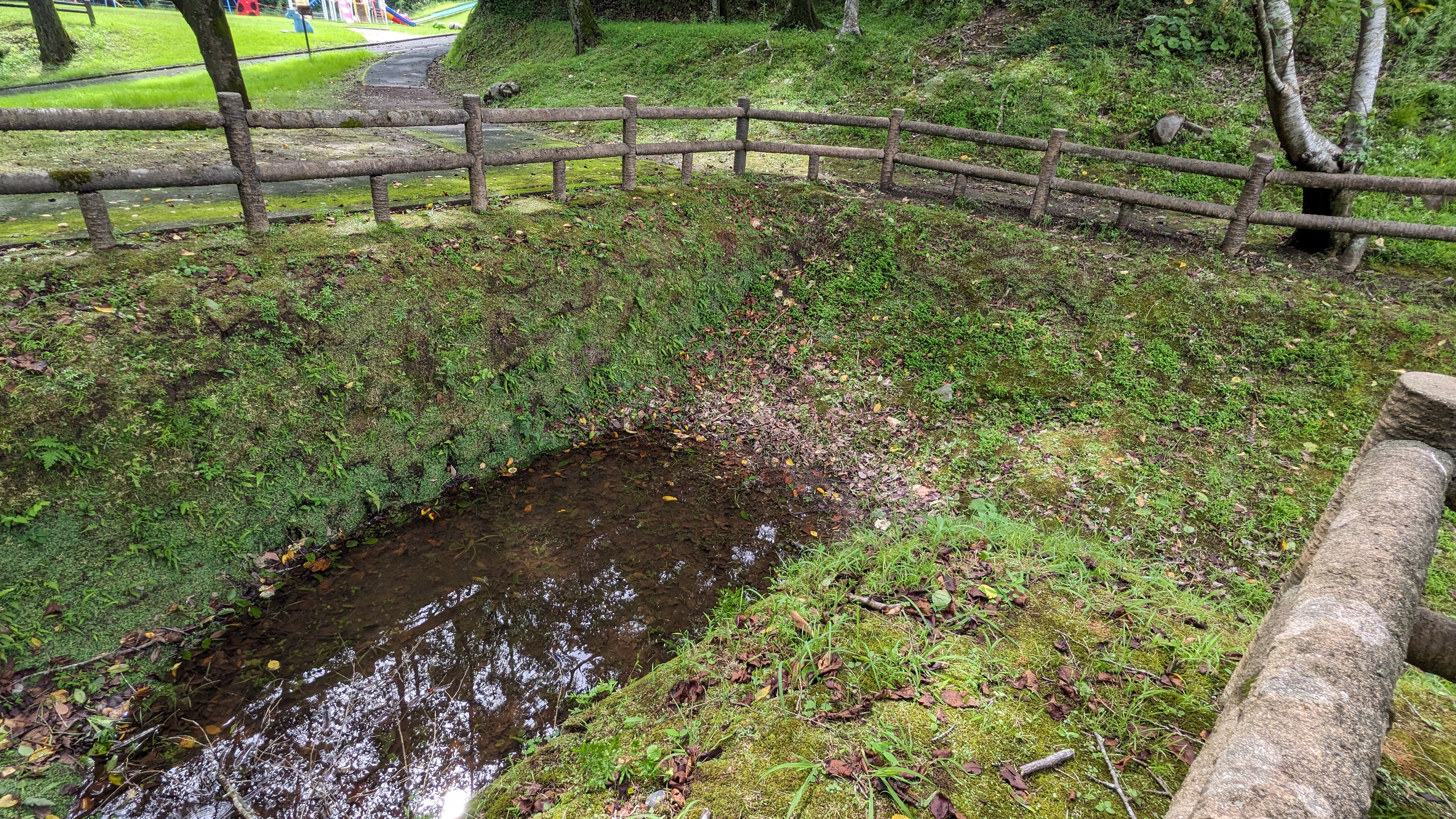 井戸溝跡 1