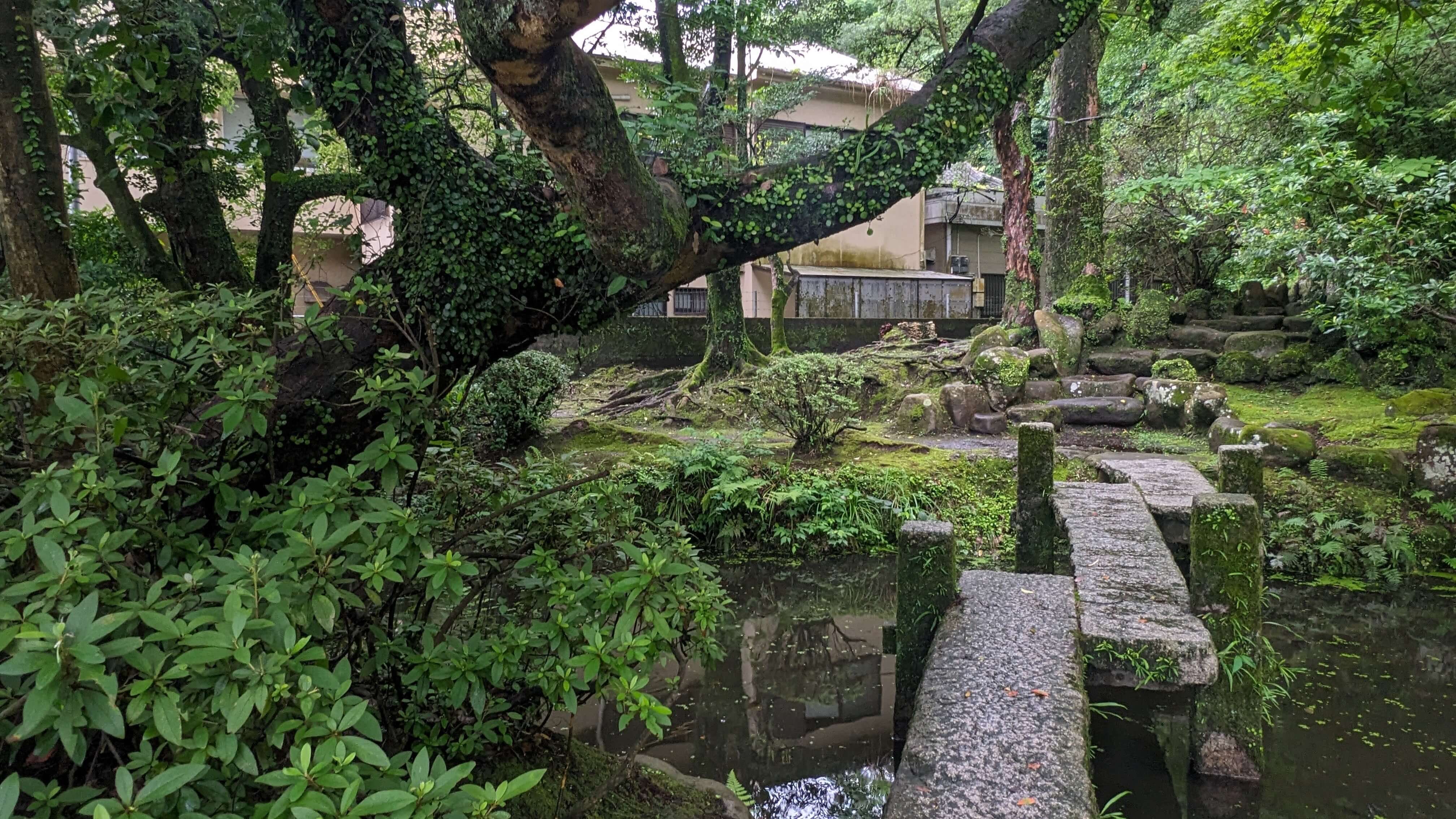 鹿児島市島津忠義公像 サムネイル 3