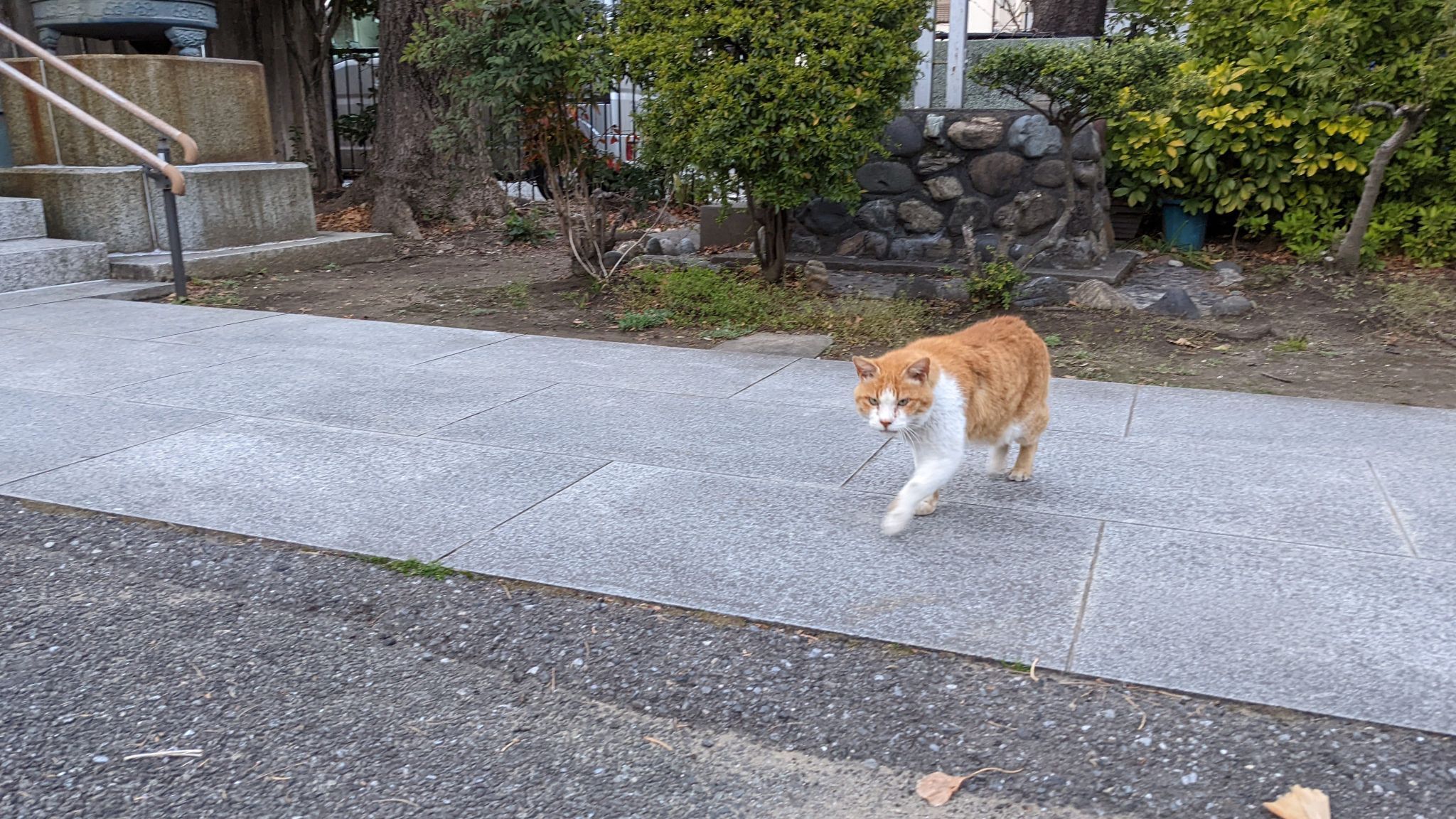 大森八幡神社 サムネイル 3