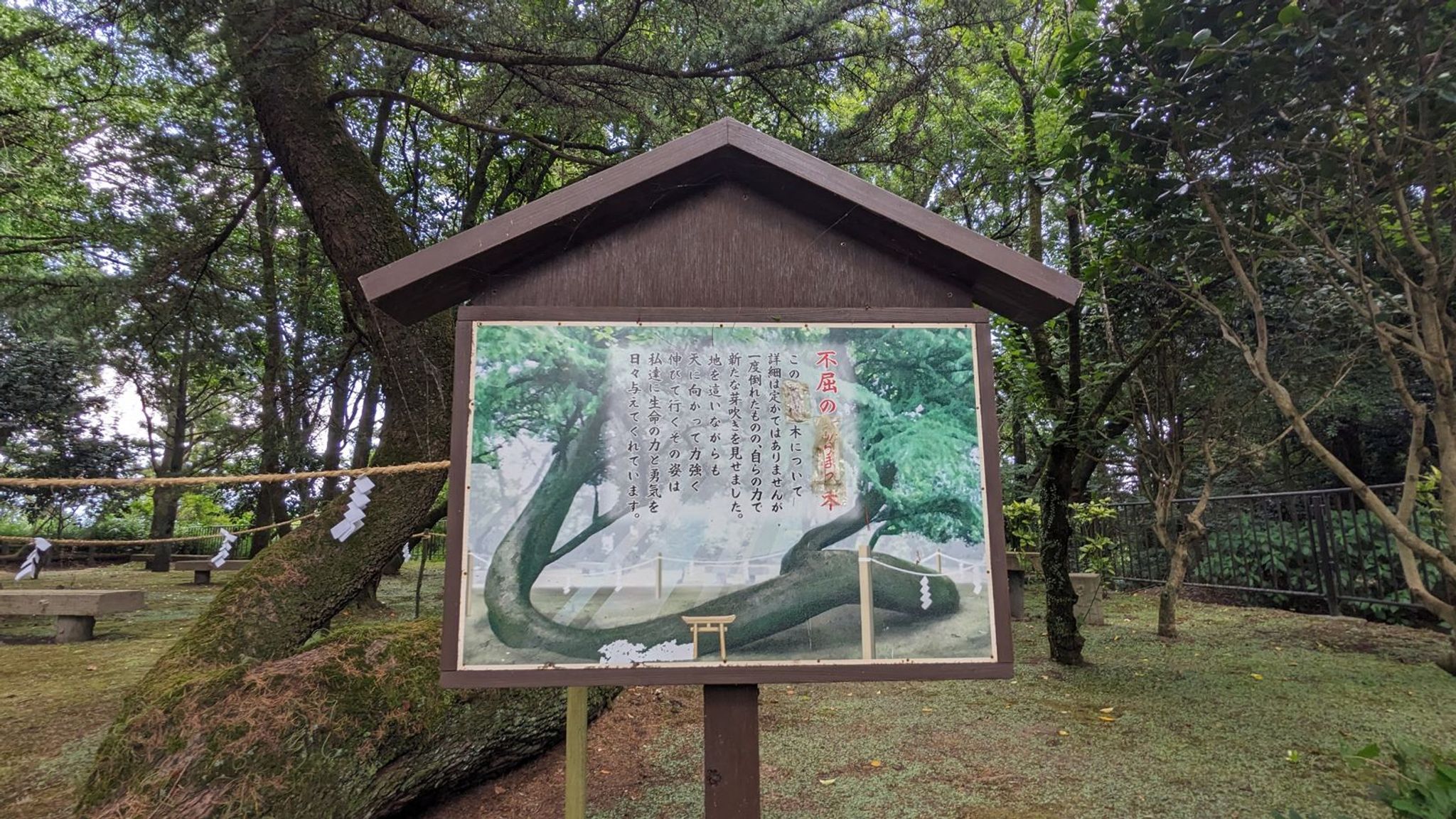 狭野神社 サムネイル 26